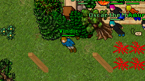 Vindic on screen