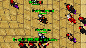 Porki Druid on screen