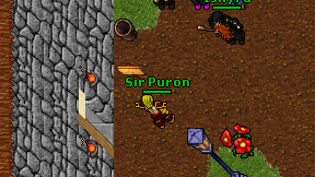 Sir Puron on screen