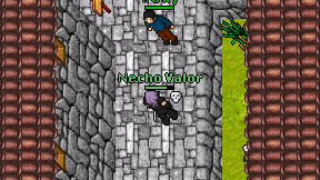 Necho Valor on screen