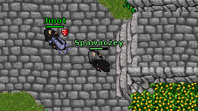 Spawaczey on screen