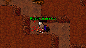Stack Warrior on screen