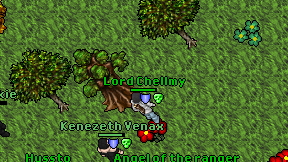 Lord Chellmy on screen