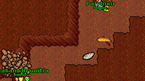 Palyhixir on screen