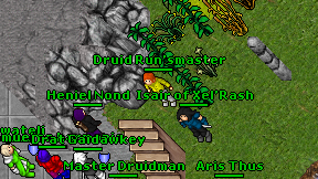 Druid Run'smaster on screen