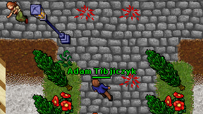 Adam Tibjiczyk on screen
