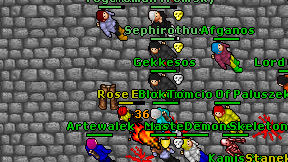 Gekkesos on screen