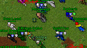 Mexmage on screen