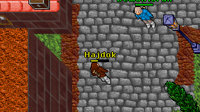 Hajdok on screen