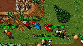 Spitka on screen