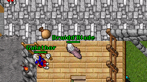 Druidd'Blade on screen