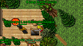 Kamp darkraven on screen