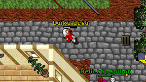 Loika'desa on screen
