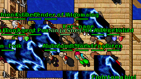 Ninja Snejs on screen