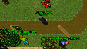 Buvufaw on screen
