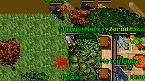 Slimyiew on screen