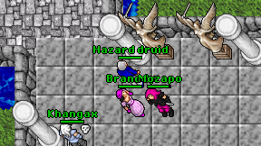 Hazard druid on screen
