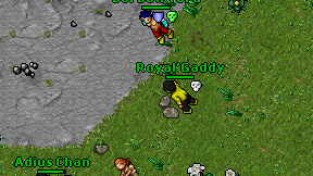 Royal'Gaddy on screen