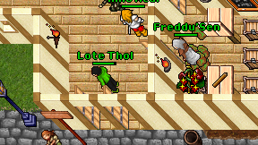 Lote Thol on screen