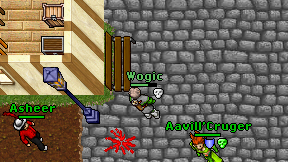 Wogic on screen