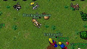Blackshadoww on screen