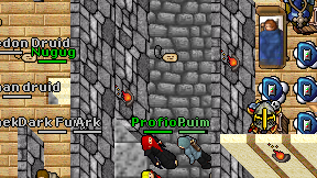 Profion on screen