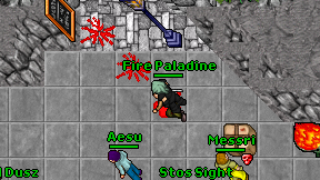 Fire Paladine on screen