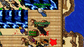 Selandis on screen