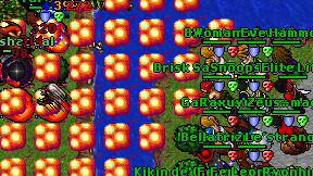 Elite Life on screen
