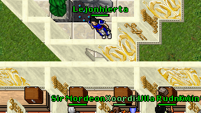 Lejonhierta on screen