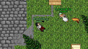 Rapoba on screen