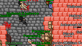 Paladynia on screen
