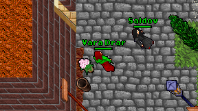 Vara Drar on screen