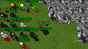 Spinja on screen