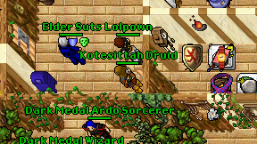 Kotesittah Druid on screen