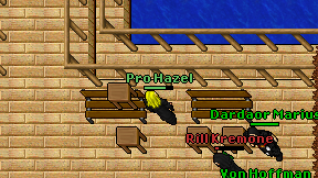 Pro Hazel on screen