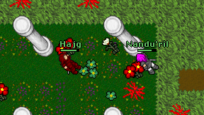 Hajg on screen