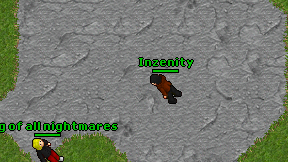 Inzenity on screen