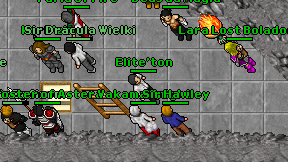 Elite'ton on screen