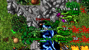 Xedeos on screen