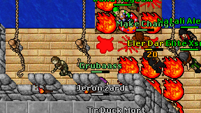 Grubaass on screen