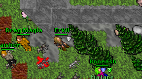 Erkii on screen