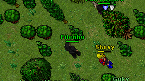 Filenhu on screen