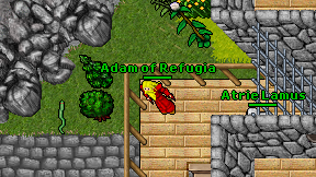 Adam of Refugia on screen