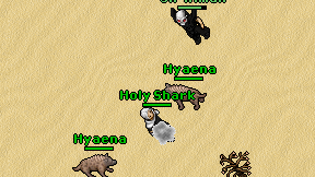 Holy Shark on screen