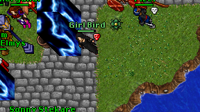 Girl Bird on screen