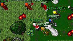 Drapacz on screen