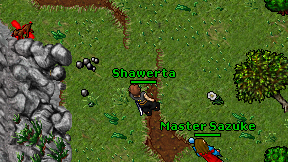 Shawerta on screen