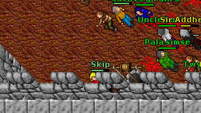 Skip on screen