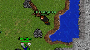 Discopoiss on screen